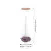 2pcs Cup Brush Water Bottle Cleaning for Bottles Beer Bottle Straw Cleaners Cleaning Brush Bottle Cleaner Brush view 2