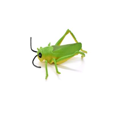 Grasshopper, Rubber Insect, Realistic Figure, Model, Replica, Educational Gift, 7" - F2059 B134