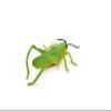 Grasshopper, Rubber Insect, Realistic Figure, Model, Replica, Educational Gift, 7" - F2059 B134 view 2