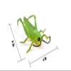 Grasshopper, Rubber Insect, Realistic Figure, Model, Replica, Educational Gift, 7" - F2059 B134 view 4