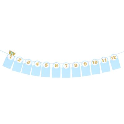 1set Happy Birthday Photo Banner for First Year Themed Growth Frame Decoration for Birthday Celebration Tear Resistant Material for Use
