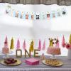 1set Happy Birthday Photo Banner for First Year Themed Growth Frame Decoration for Birthday Celebration Tear Resistant Material for Use view 2