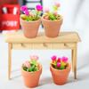 4 Pieces Mini Dollhouse Potted Plant Flower Model 1:12 Miniature Scene Bonsai Plant Set Accessories Micro Landscape Decoration (Rose+Pink) view 2