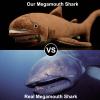 ZHONGXIN MADE Simulation Megamouth Shark Plush Toy - Realistic 20" Long Lifelike Whale Stuffed Toys, Super Soft Realistic Sea Simulation Shark Plush Gift Collection for Kids Children view 2