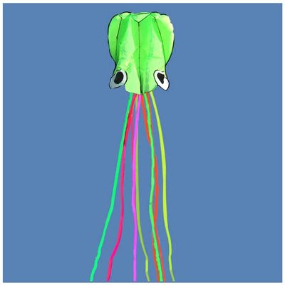 5.5M Soft Octopus Kite Beach and Outdoor Toys, Flying Kite for Boys and Girls with 100M Flying Line and Spool LSDRALOBBEB 0408(Color:10,Size:)