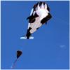 Large Soft Kite Killer Whale Kite Easy to Fly Gift for Kids with 100M Flying Line and Spool LSDRALOBBEB 0408(Color:C,Size:) view 1