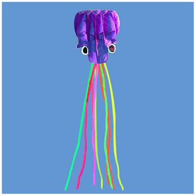 5.5M Soft Octopus Kite Beach and Outdoor Toys for Kids and Adults Beach Travel Outdoor Play with 100M Flying Line and Spool LSDRALOBBEB 0408(Color:4,Size:)