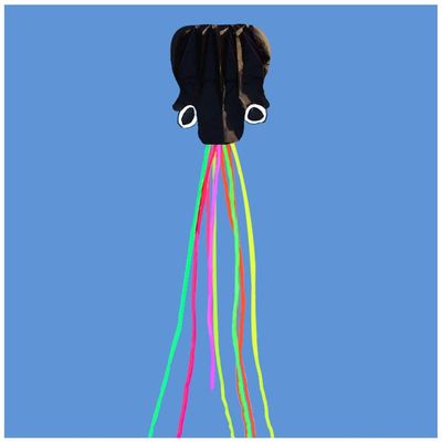 5.5M Soft Octopus Kite Beach and Outdoor Toys, Flying Kite for Boys and Girls with 100M Flying Line and Spool LSDRALOBBEB 0408(Color:5,Size:)