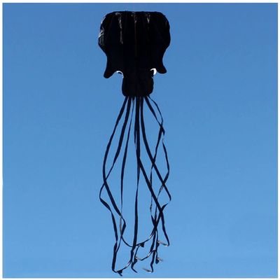5.5M Soft Octopus Kite Beach and Outdoor Toys, Flying Kite for Boys and Girls with 100M Flying Line and Spool LSDRALOBBEB 0408(Color:6,Size:)