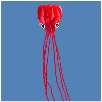 5.5M Soft Octopus Kite Can Take Off Even in Low Wind, Easy to Assemble and Fly Kite for Kids and Adults Beach Travel Outdoor Play LSDRALOBBEB 0408(Color:3,Size:)