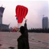 5.5M Soft Octopus Kite Beach and Outdoor Toys for Kids and Adults Beach Travel Outdoor Play with 100M Flying Line and Spool LSDRALOBBEB 0408(Color:13) view 4