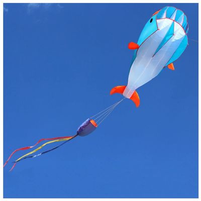 Big Soft Kite Dolphin Kite with 100M Flying Line and Spool, Beach and Outdoor Toys, Flying Kite for Boys and Girls(Color:A,Size:)