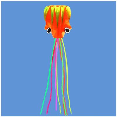 5.5M Soft Octopus Kite Easy to Assemble and Fly Kite, Fly Kite for Boys and Girls, Can Take Off Even in Low Wind LSDRALOBBEB 0408(Color:12,Size:)