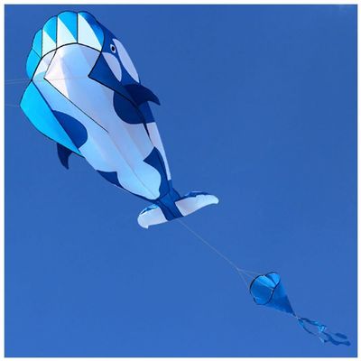 Large Soft Kite Killer Whale Kite Easy to Assemble and Fly Kite That Can Take Off Even in Low Winds, a Flying Kite for Boys and Girls(Color:A,Size:)