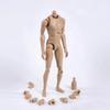 1/6 Scale Narrow Shoulder Male Body Doll Action Figure for TTM18 TTM19 Hot Toys & Human Body Sketch Model view 1