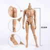 1/6 Scale Narrow Shoulder Male Body Doll Action Figure for TTM18 TTM19 Hot Toys & Human Body Sketch Model view 2