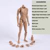 1/6 Scale Narrow Shoulder Male Body Doll Action Figure for TTM18 TTM19 Hot Toys & Human Body Sketch Model view 4