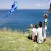 Large Soft Kite Killer Whale Kite Suitable for Boys and Girls Flying Kite, Easy to Assemble and Fly, Can Take Off Even in Low Wind(Color:A,Size:) view 4