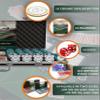 Bullets Poker Set, 2 Plastic Card, Dice, Dealer Button, Manual & Travel Case  with Case for Texas Holdem, Casino Games, & Prominence  Ideal Poker Set with Chips and Cards, 500 Clay 'Carmela' Chips. view 3