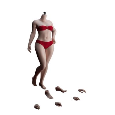 1/6 Scale Female Figure Body, Small Bust Super Flexible Pale/Suntan Seamless Action Figure Body Doll (S46B Pale Skin with feet Removed)