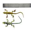 BAINFE 12Pcs Fake Plastic Lizard Toys Colorful Rubber Lizards Action Figure Reptile Toy Lizard Realistic Favors Gag Toys Prank and Prop, 5.5" Lizards 12 Styles view 4