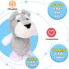 Hopearl Talking Schnauzer Singing Dog Repeats What You Say Puppy Walking Electric Interactive Animated Toy Speaking Plush Buddy Gifts for Toddlers, Gray, 8'' view 4