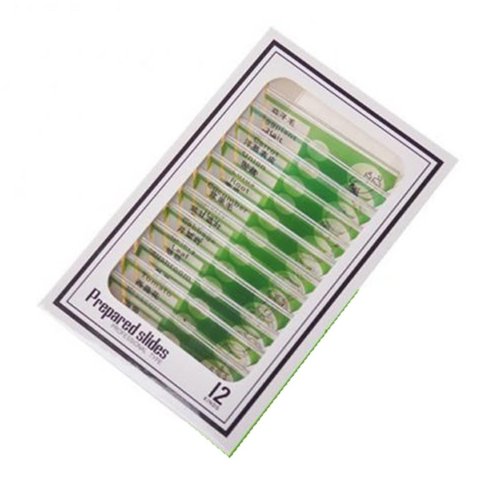 Lab Microscope Slides 12pcs Plastic Prepared Microscope Slides Biological Experiment Accessories Microscope Parts (Color : Grenn)