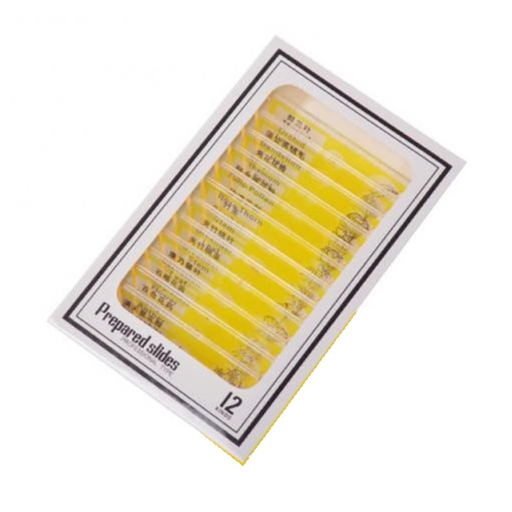 Lab Microscope Slides 12pcs Plastic Prepared Microscope Slides Biological Experiment Accessories Microscope Parts (Color : Yellow)