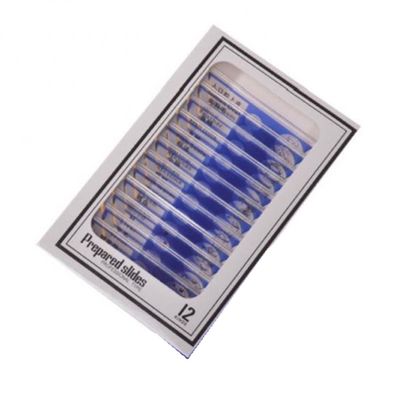 Lab Microscope Slides 12pcs Plastic Prepared Microscope Slides Biological Experiment Accessories Microscope Parts (Color : Blue)