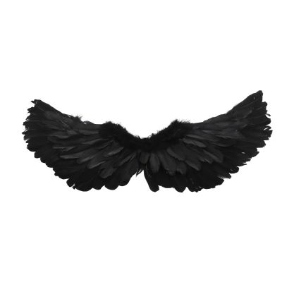 Annad Angel Set, Angel Fadeless Feather Easy Wear for Halloween Costume Black Trumpet Wings (AnnadUnHM-11)
