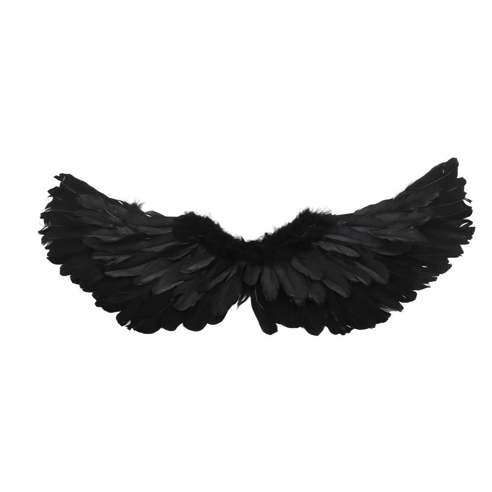 Annad Angel Set, Angel Fadeless Feather Easy Wear for Halloween Costume Black Trumpet Wings (AnnadUnHM-11)