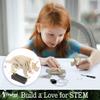 Pinwheel Crafts Robotic Dinosaur Arts & Crafts Science Kit for Kids Ages 6-12  Wooden Dinosaur Toys with Paints  Ideal Gift for 6-Year-Old Boys view 2