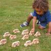 TickiT Natural Wooden Vehicles - Set of 12 view 4