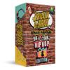 Lyrically Correct '90s & 2000s Music Trivia Card Game - Hip Hop and R&B Edition - Finish The Lyrics Challenge, Fun for Adults, Party or Family Night view 1