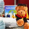 Set of 1 Graduation Teddy Bear Clothes Cap & Gow Outfit Fits Make Your Own Most 14" - 18" Bear Plush Stuffed Animal Outfit Pet Dog Doll Cap and Gown Build a Bear Clothe(Graduation C, Fit 14"-18") view 3