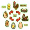 Story Time Felts Chicken Life Cycle Felt Figures for Flannel Board Stories view 1