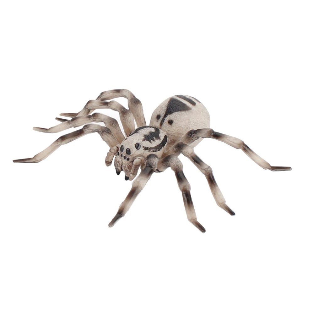 FLORMOON Realistic Animal Figures - Spider Action Model Lifelike Insect Toy Figures - Educational Learning Toys Birthday Set for Boys Girls Kids Toddlers (Tarantula)