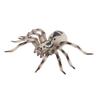 FLORMOON Realistic Animal Figures - Spider Action Model Lifelike Insect Toy Figures - Educational Learning Toys Birthday Set for Boys Girls Kids Toddlers (Tarantula) view 1