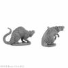 Barrow Rats Miniature 25mm Heroic Scale Figure Dungeon Dwellers Reaper Miniatures view 3