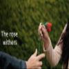 Dropping Flower by Mago Rigel & Twister Magic - Trick view 3