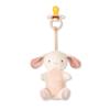 Itzy Ritzy Pacifier & Lovey Set - Natural Rubber Pacifier with Stuffed Animal Lovey - Detachable Plush Bunny Binky Holder & Coordinating Natural Rubber Binky, Ideal for Ages 0-6 Months (Bunny) view 1