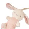 Itzy Ritzy Pacifier & Lovey Set - Natural Rubber Pacifier with Stuffed Animal Lovey - Detachable Plush Bunny Binky Holder & Coordinating Natural Rubber Binky, Ideal for Ages 0-6 Months (Bunny) view 2