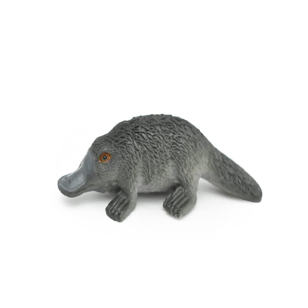 CWG Platypus, Duck Billed, Very Nice Small Plastic Animal 2.5" CWG118 B238