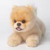 16 Inch- Pomeranian Stuffed Animals Toy Dog,Plush Puppy Realistic Cute Toy Dog Present Gift for Girls Boys with Box view 1