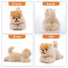 16 Inch- Pomeranian Stuffed Animals Toy Dog,Plush Puppy Realistic Cute Toy Dog Present Gift for Girls Boys with Box view 4