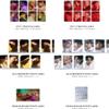 E'LAST - Roar [Full Set ver.] (3rd Mini Album) 2 Albums+CultureKorean Gift(Decorative Stickers,Photocards,Top Loader Stcikers) view 4