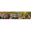 AEG Ready Set Bet | Head off to the Races | Betting & Bluffing | Real-Time Dice Rolling Party Game | Simultaneous Play | 2-6 Players | Ages 10+ view 4