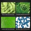 Lab Microscope Slides 100X 400X 1200X Microscope Compound LED with Phone Holder Microscope Parts view 2