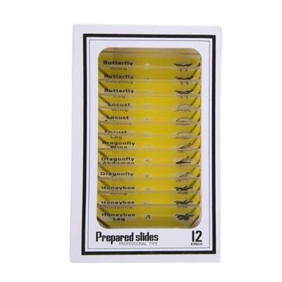 Lab Microscope Slides 12PCS Kids Prepared Plastic Microscope Slides for Stereo Microscopes Microscope Parts