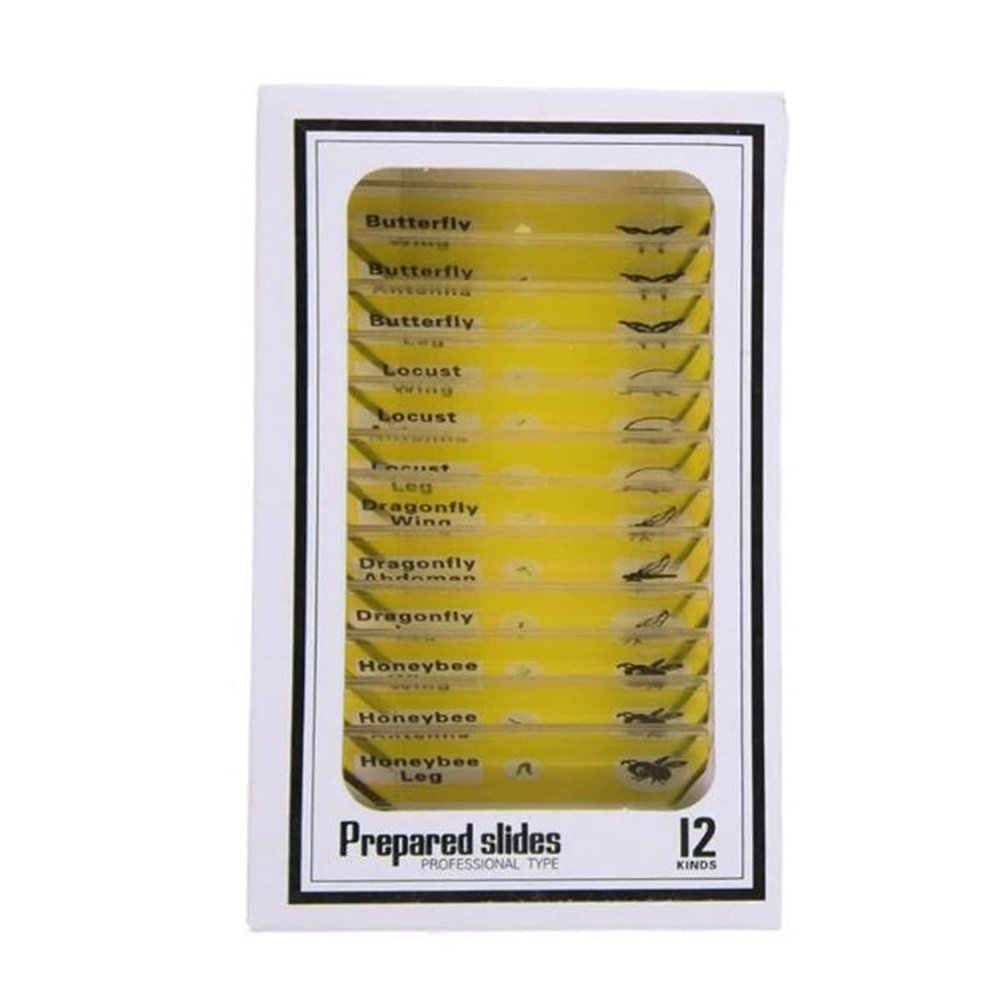 Lab Microscope Slides 12PCS Kids Prepared Plastic Microscope Slides for Stereo Microscopes Microscope Parts